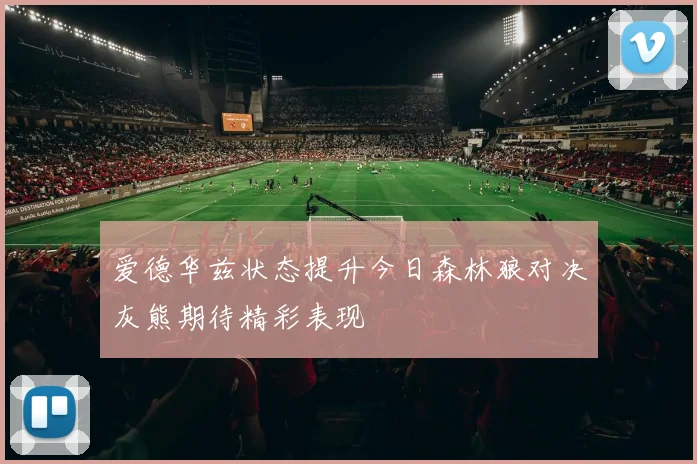 爱德华兹状态提升今日森林狼对决灰熊期待精彩表现